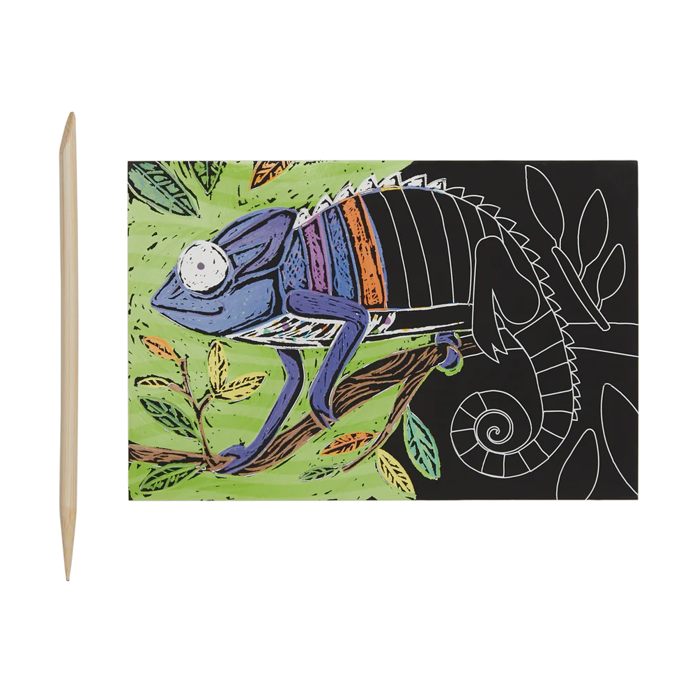 Scratch & Scribble