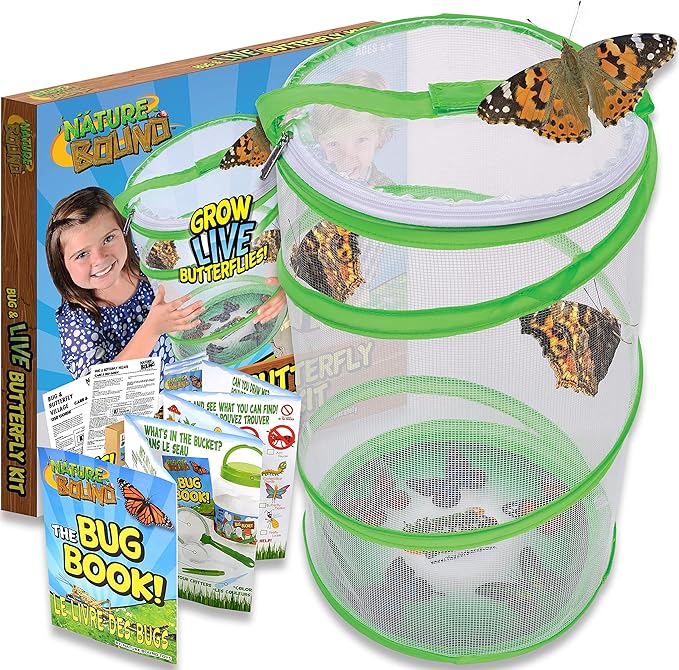 Bug & Live Butterfly Kit