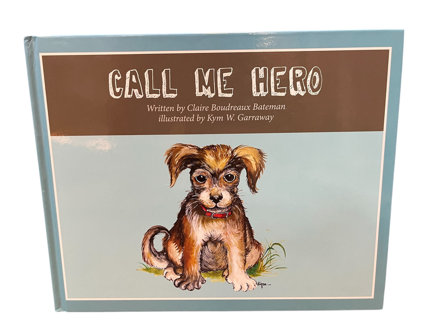 Call Me Hero (Hardcover)