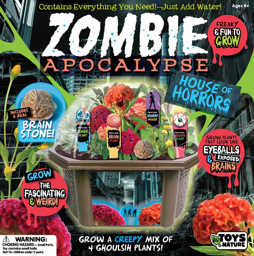 Build You Own Terrarium - Assorted