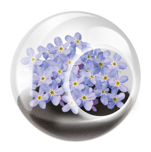 Tiny Terrarium