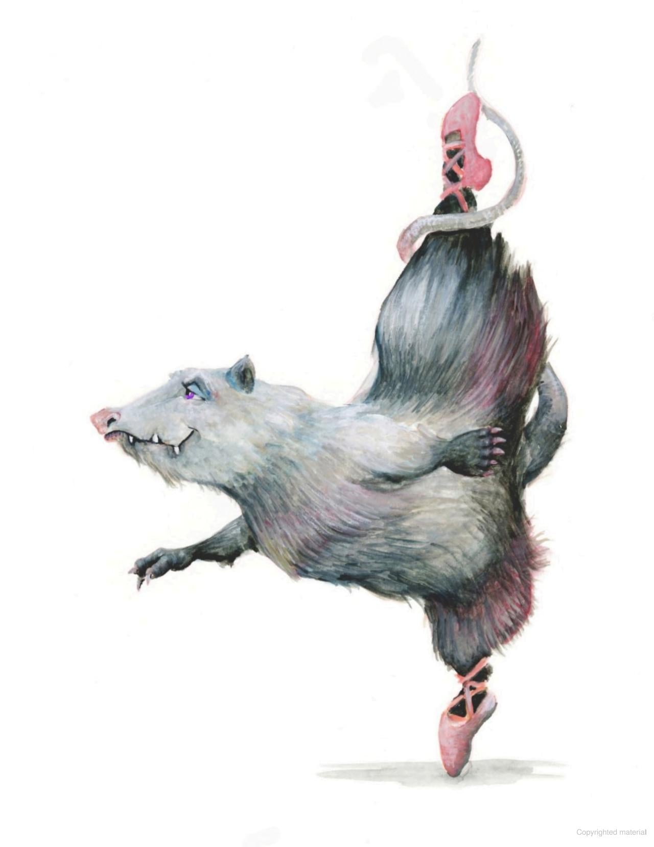 Bayou Ballet (Hardcover)