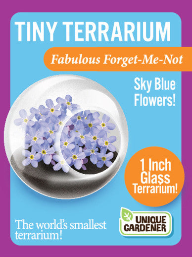 Tiny Terrarium