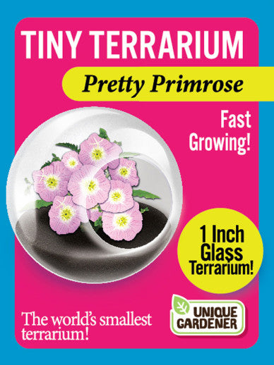 Tiny Terrarium
