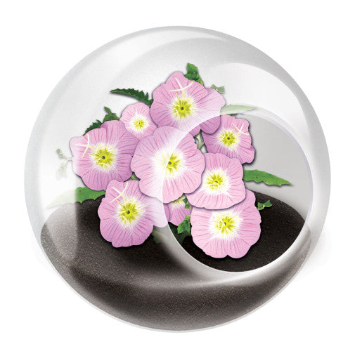 Tiny Terrarium