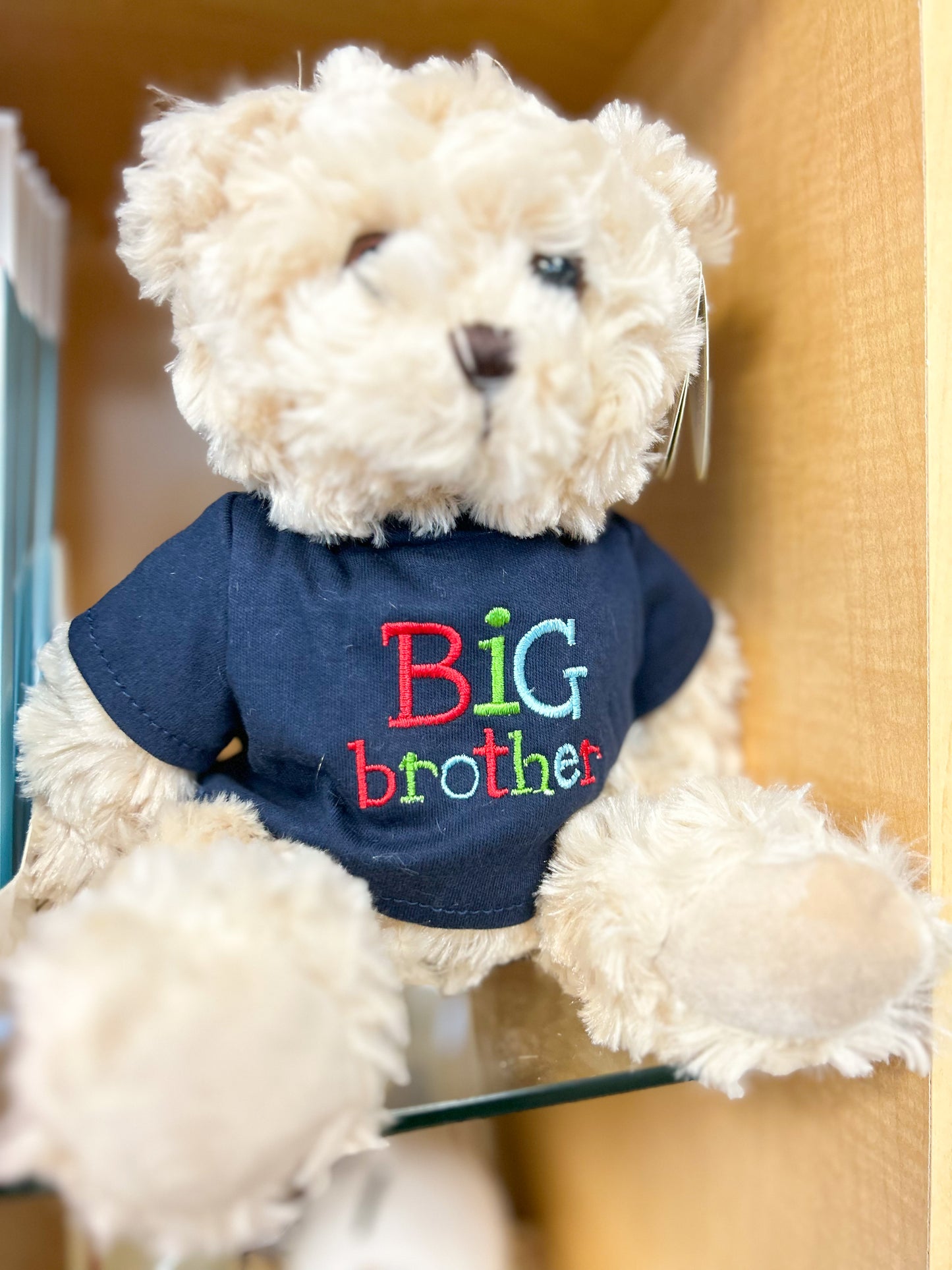 BIG Brother/Sister Teddy Bear