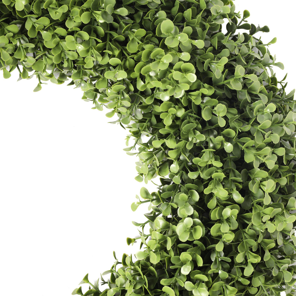 Boxwood Wreath Everlux UV 19 Inch