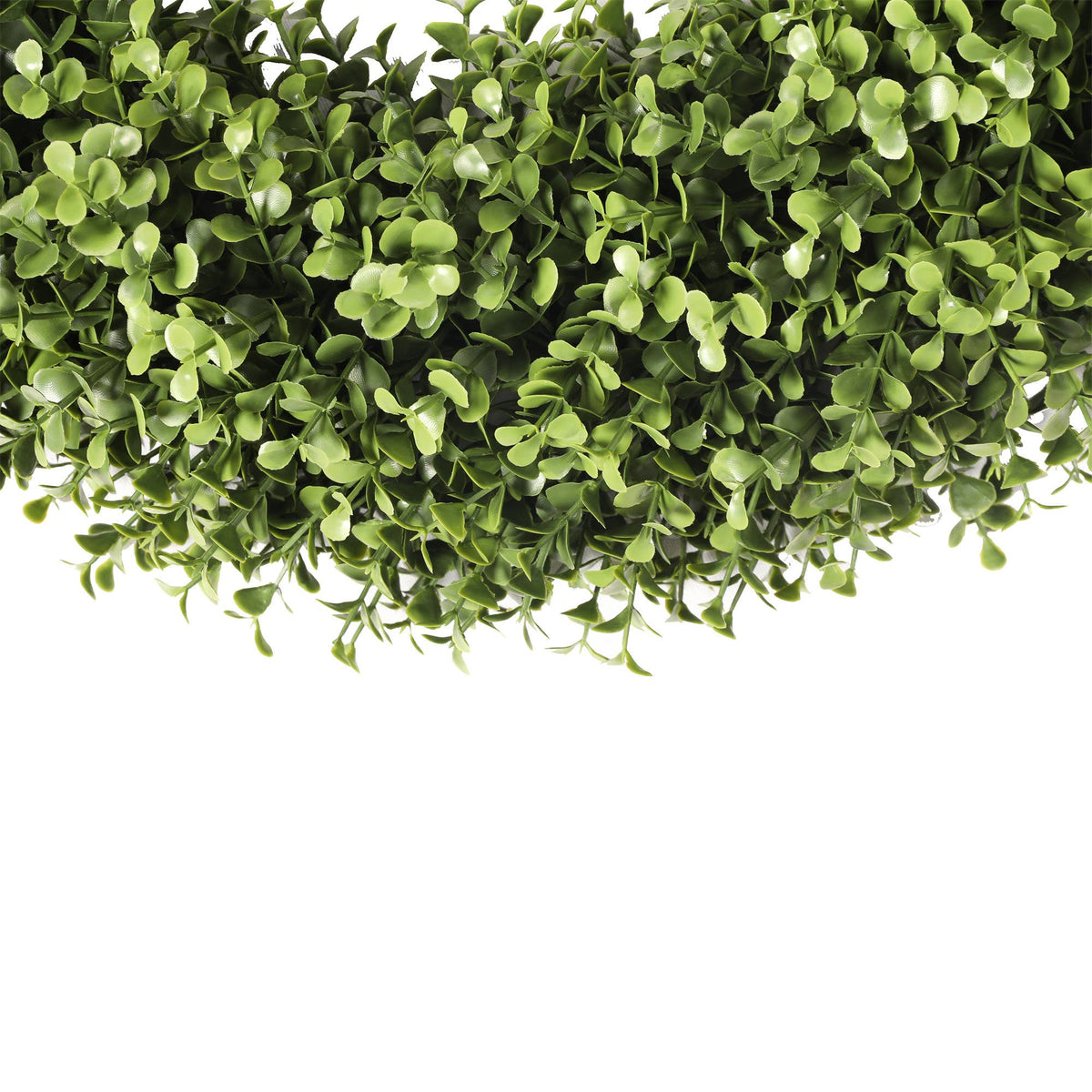 Boxwood Wreath Everlux UV 19 Inch