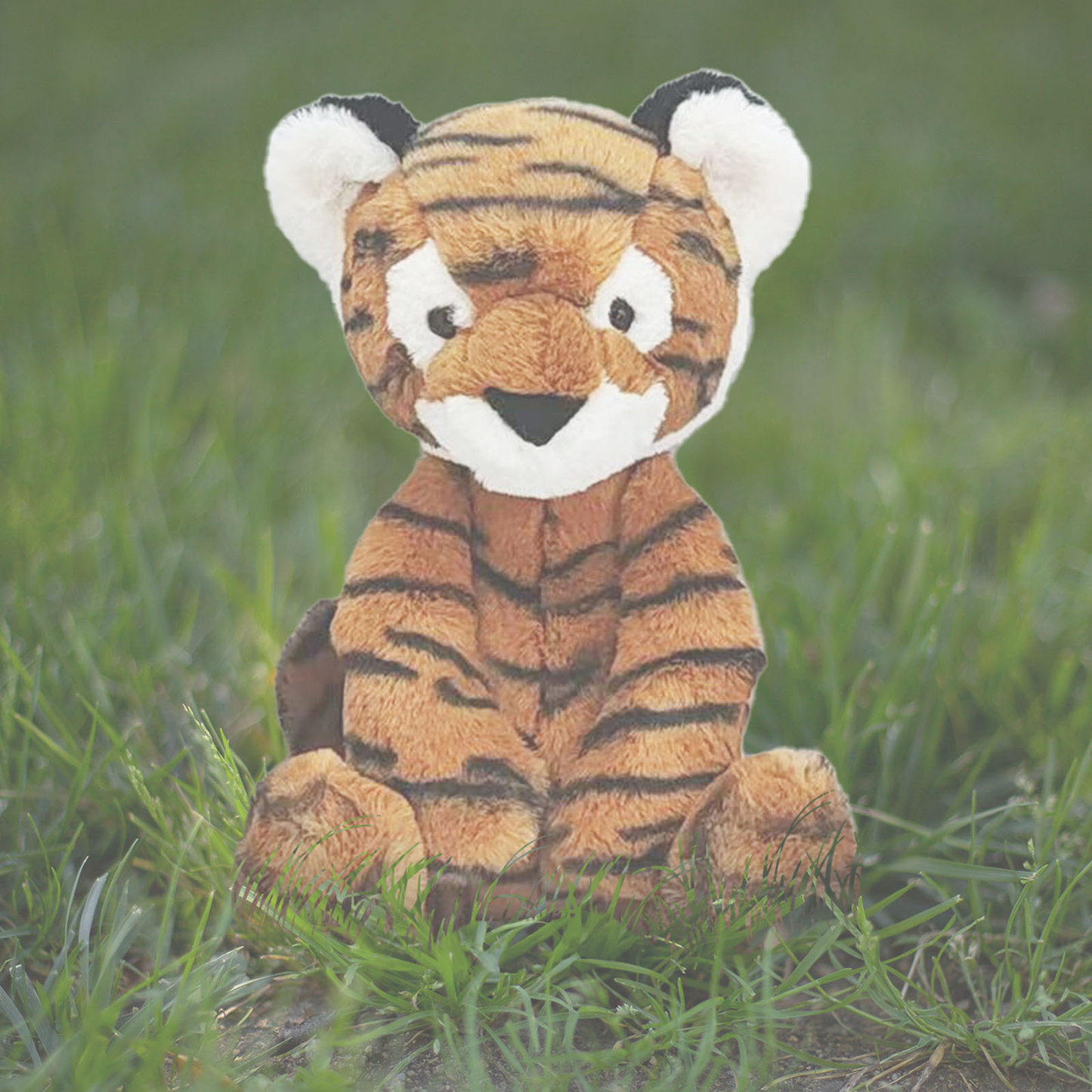 WS Lushee 16" - Tad Tiger