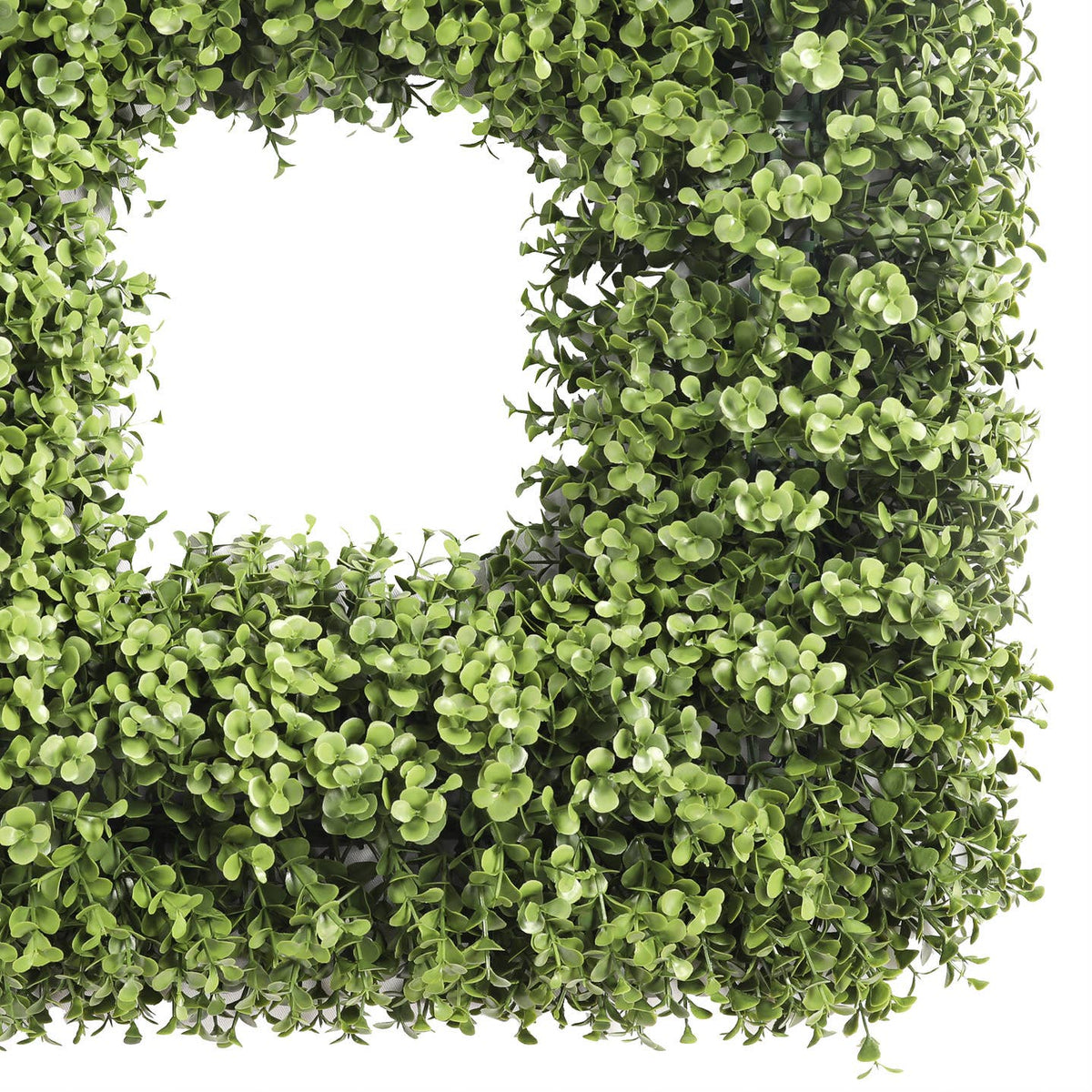 Boxwood Square Wreath Everlux UV 20 Inch