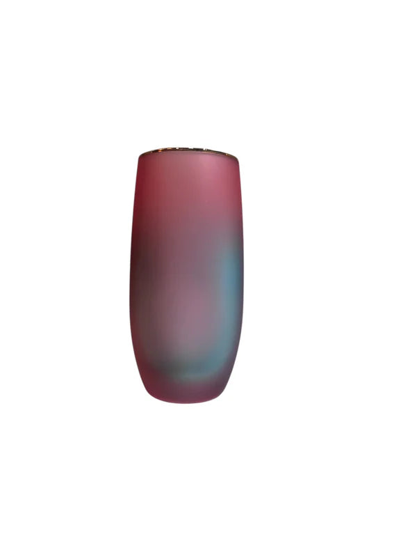 Frosted Ombre Rainbow Tumblers