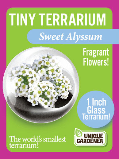 Tiny Terrarium